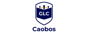 Lego Education Colombia Robot School (1)